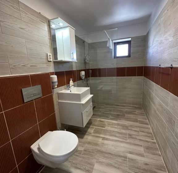 Pensiunea Vis Alpin Belis