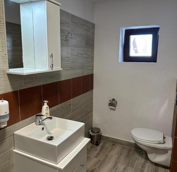 Pensiunea Vis Alpin Belis