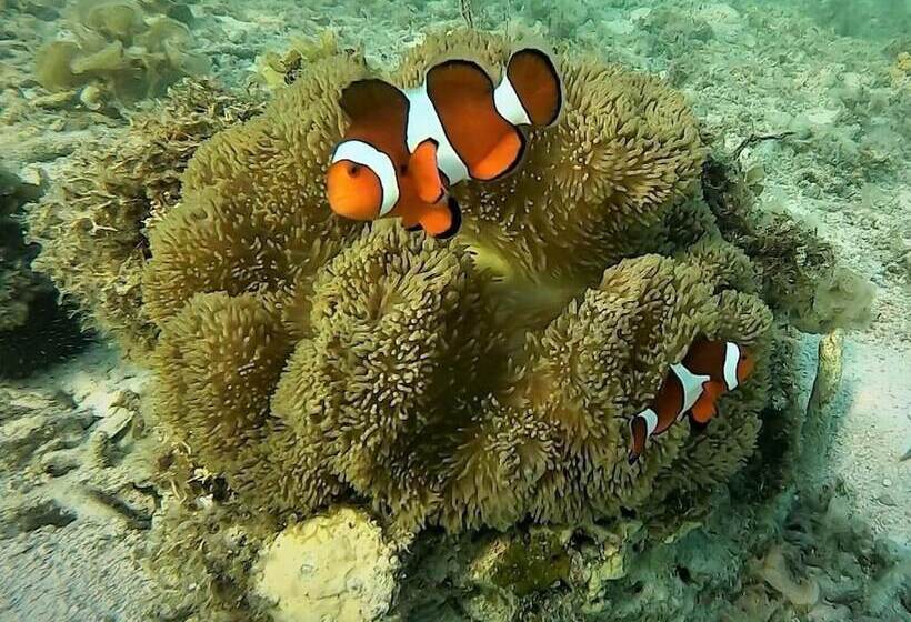 استراحتگاه Casa Amihan