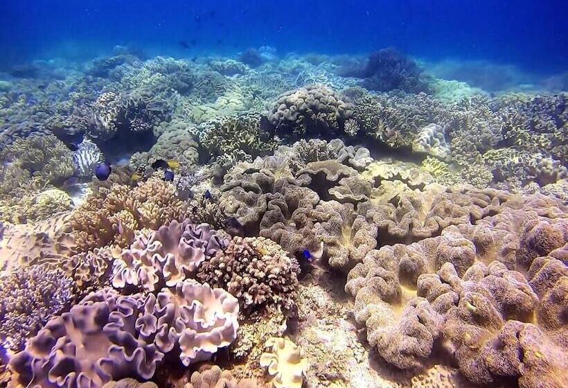 استراحتگاه Casa Amihan