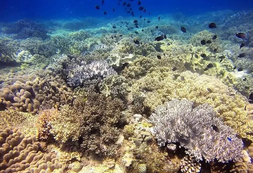 リゾートホテル Casa Amihan