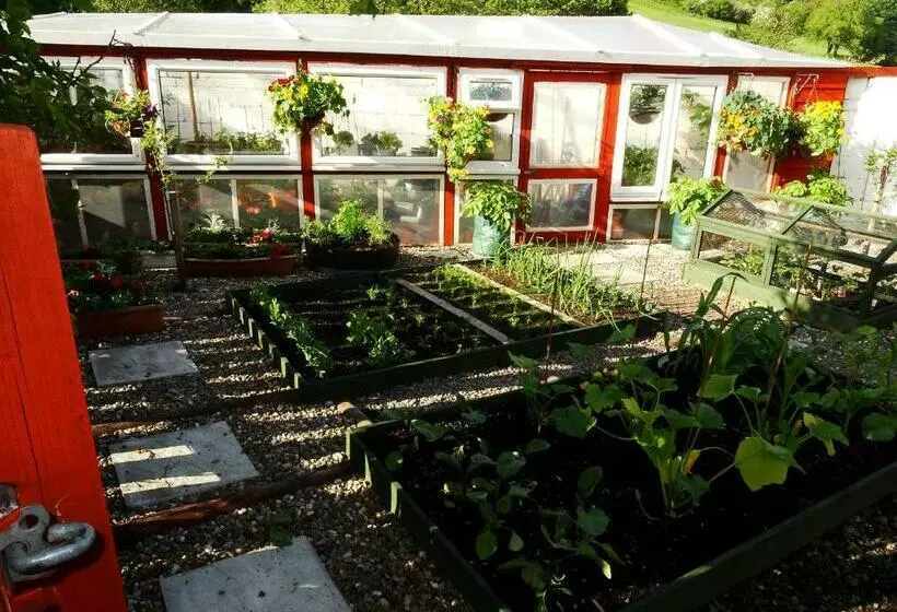 Llew Coch B&b
