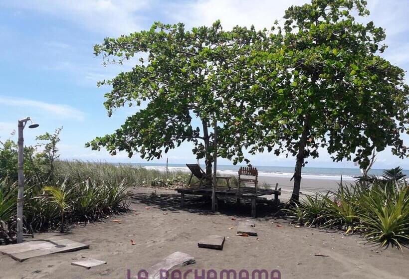 Общежитие Hostal Pachamama