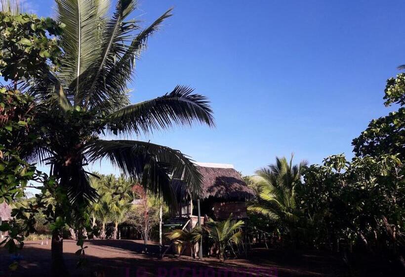 Общежитие Hostal Pachamama