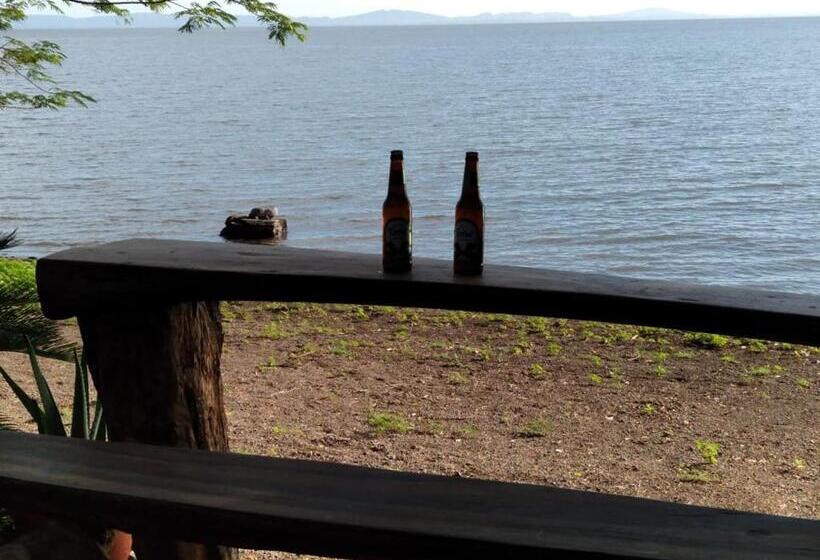 هاستل Los Chocoyos