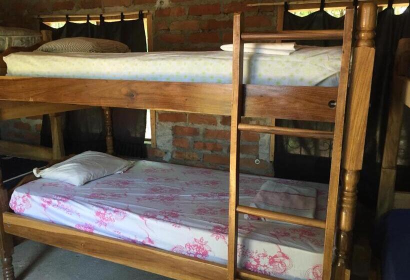 هاستل Los Chocoyos