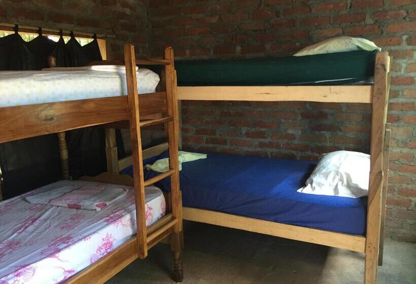 هاستل Los Chocoyos