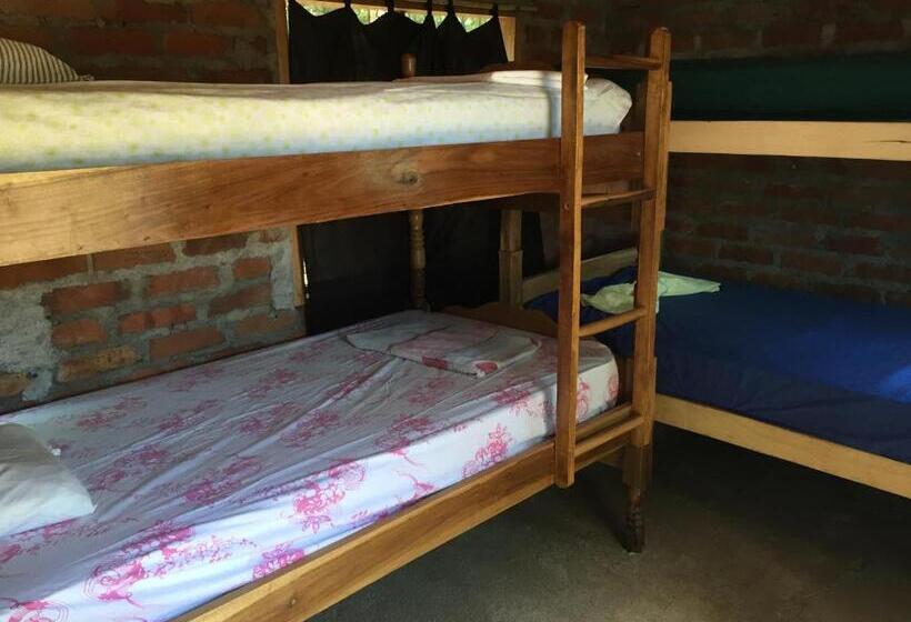 هاستل Los Chocoyos