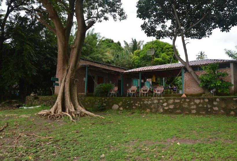 هاستل Los Chocoyos