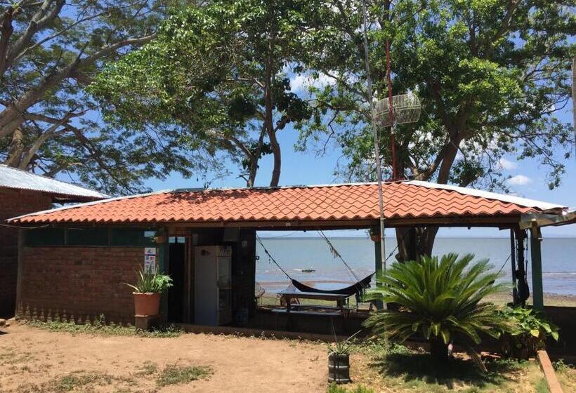 هاستل Los Chocoyos