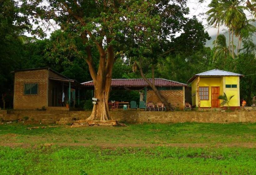 هاستل Los Chocoyos