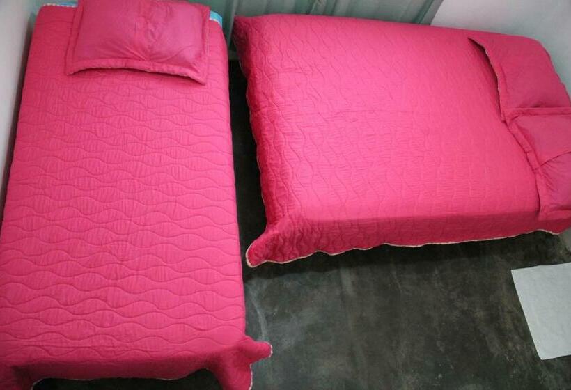 Bed and Breakfast Hostal Mi Castillo