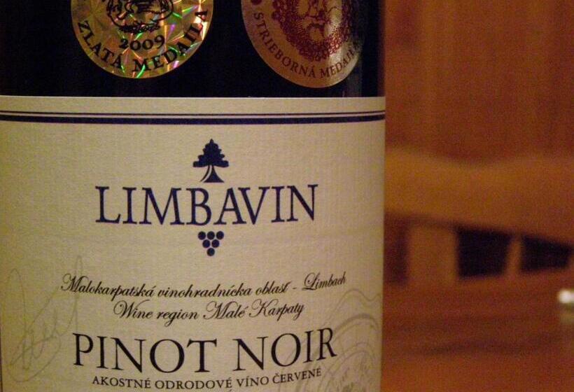 مبيت وإفطار Villa Vinica