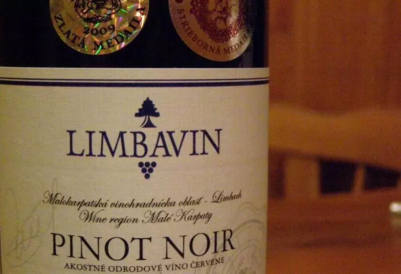 Aamiaismajoitus (B&B) Villa Vinica