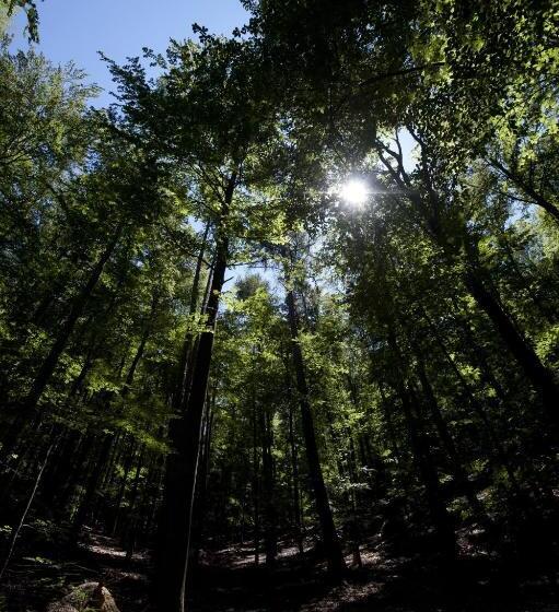 مبيت وإفطار Villa Vinica