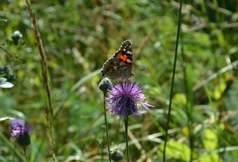 مبيت وإفطار Villa Vinica