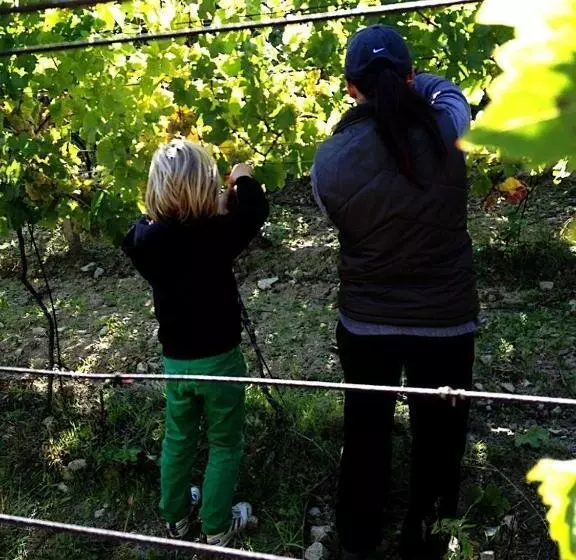 Aamiaismajoitus (B&B) Villa Vinica