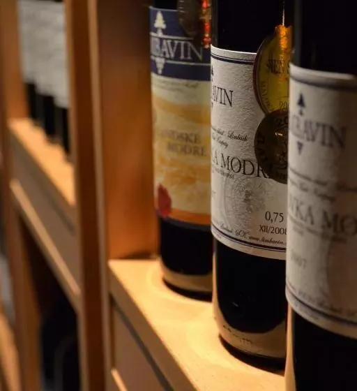 Aamiaismajoitus (B&B) Villa Vinica