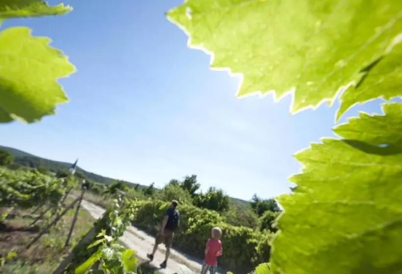 Aamiaismajoitus (B&B) Villa Vinica