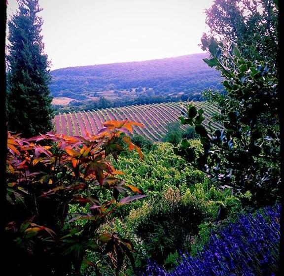 مبيت وإفطار Villa Vinica