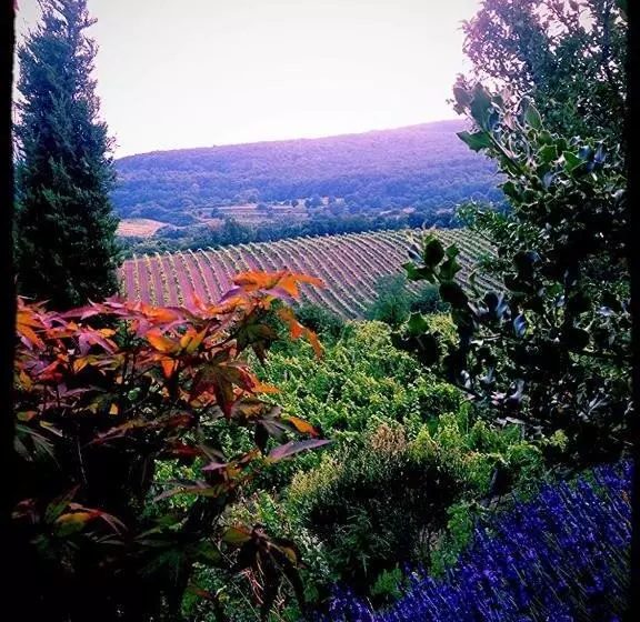 Aamiaismajoitus (B&B) Villa Vinica