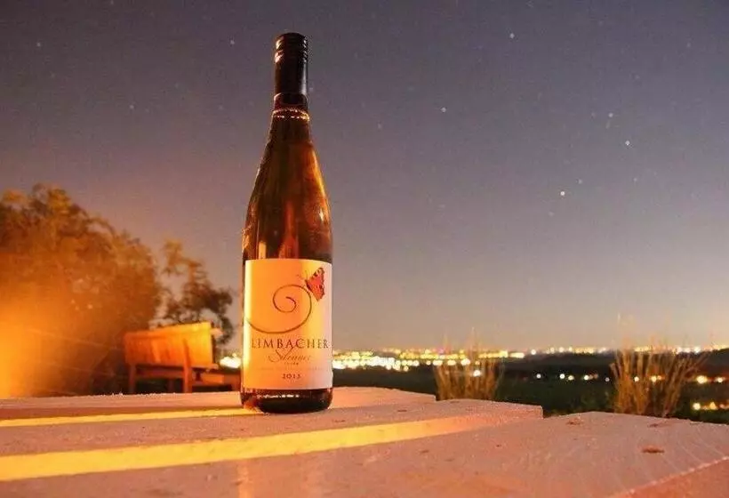 Aamiaismajoitus (B&B) Villa Vinica