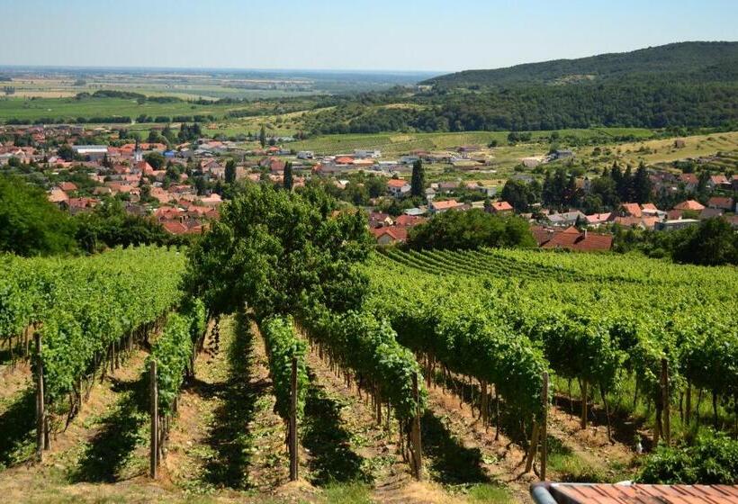 مبيت وإفطار Villa Vinica