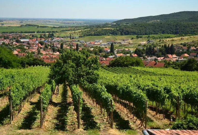 Aamiaismajoitus (B&B) Villa Vinica