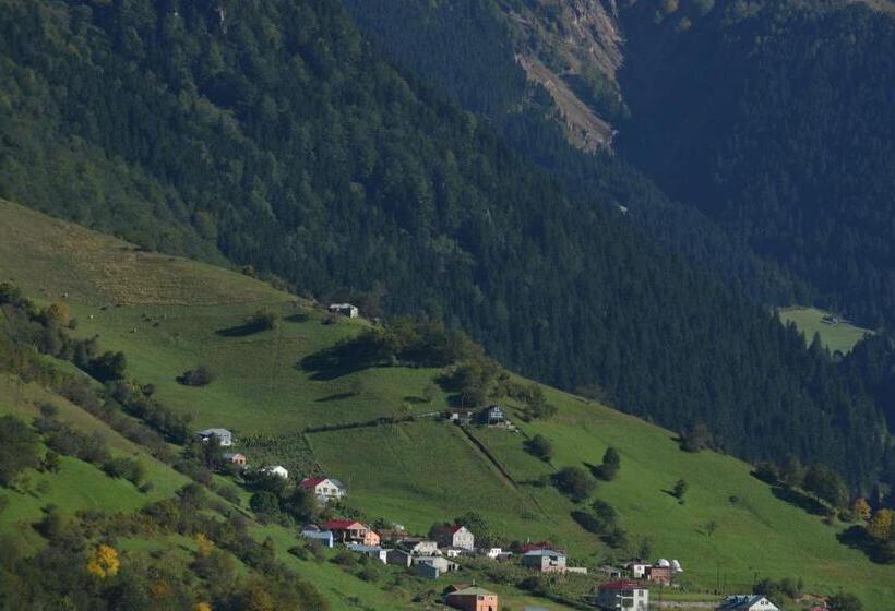 Hamsiköy Seyirtepe Butik Otel
