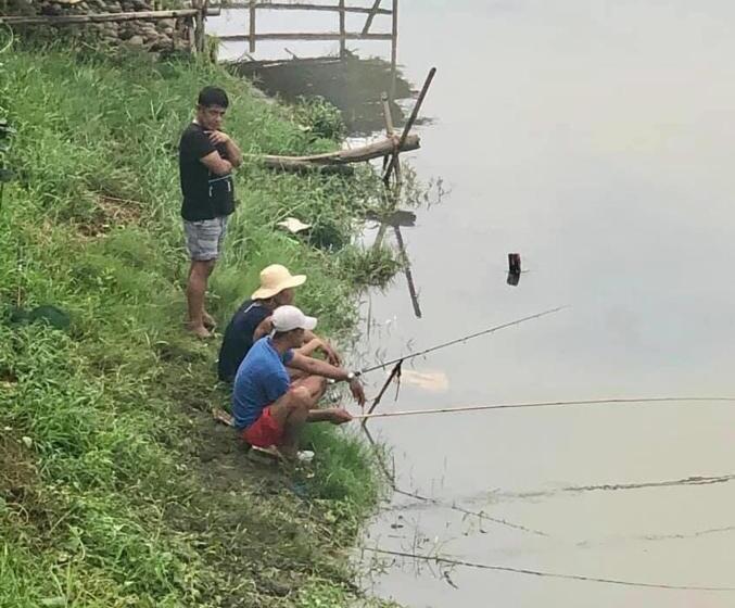 فندق Casa Del Rio Resort