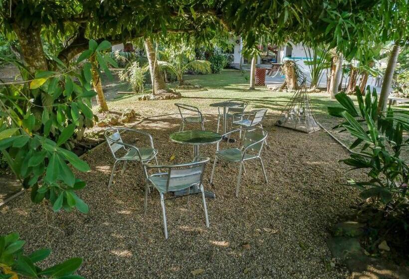 Hotel Drift Inn Cayo