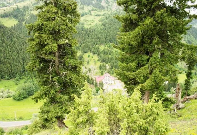 Hotelli Green Valley Savsat