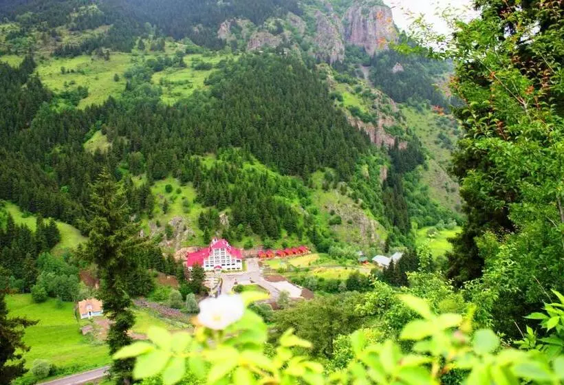 Hotelli Green Valley Savsat