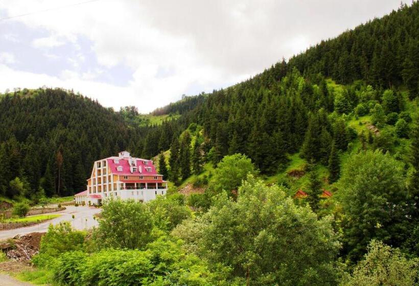 فندق Green Valley Savsat