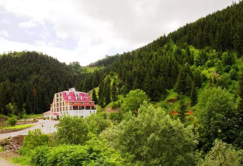 Hotelli Green Valley Savsat