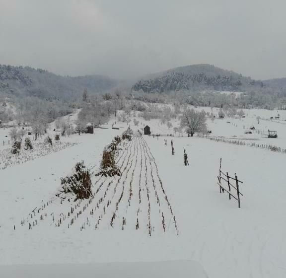 فندق Pensiunea Sanziene