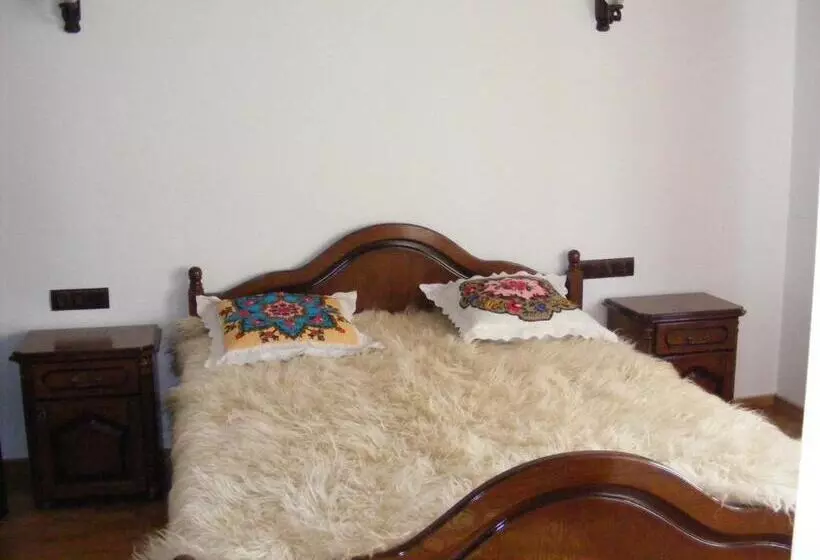 هتل Pensiunea Sanziene