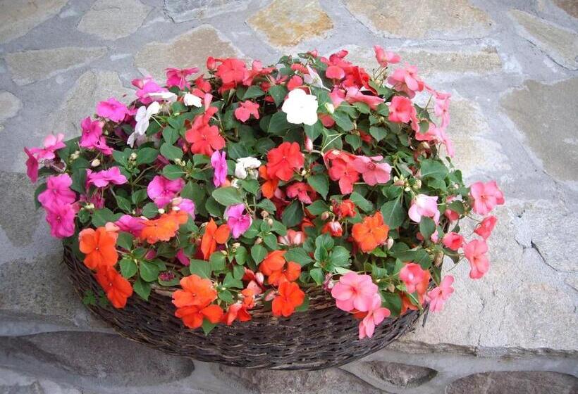 ホテル Popsokol House