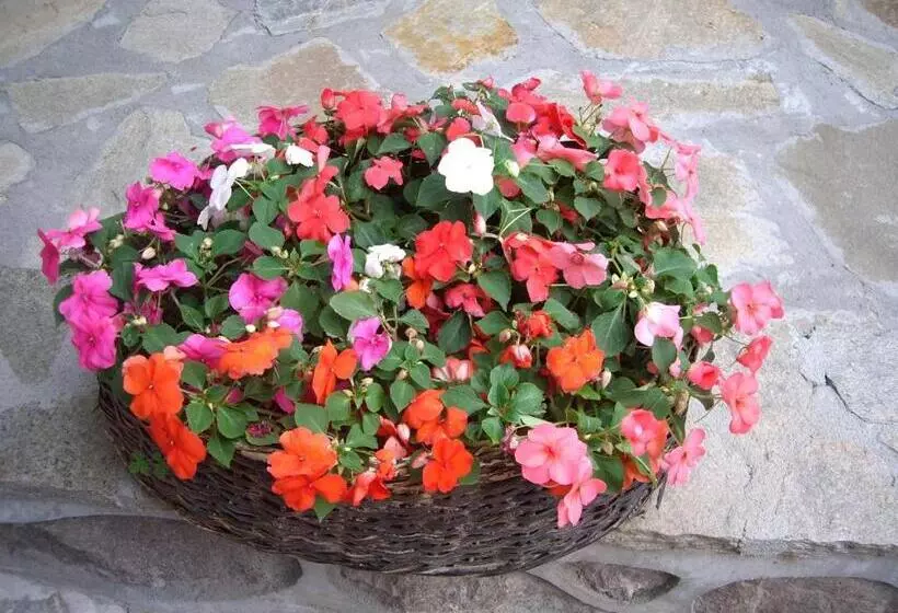 ホテル Popsokol House