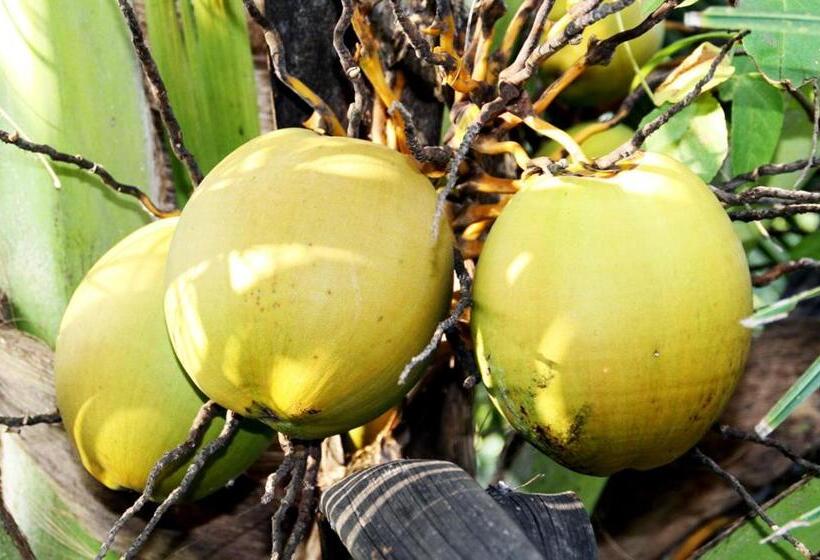 Munroe Island Lake Resort