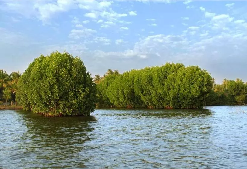 Munroe Island Lake Resort