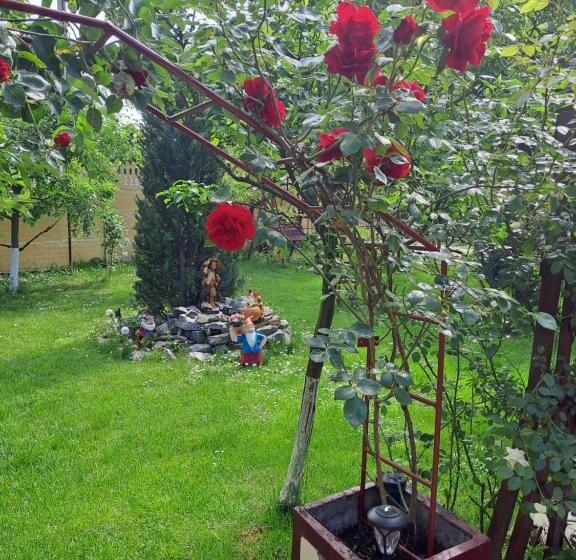 پانسیون Casa Dana