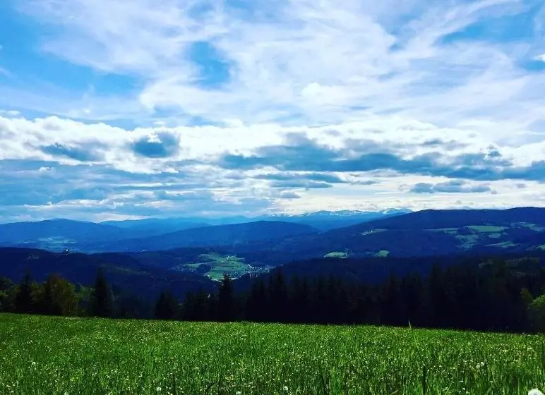 ペンション Forellenwirt Bacher