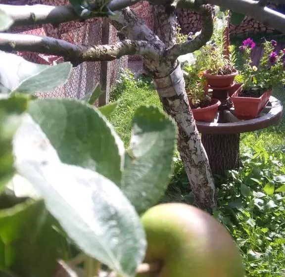 Majatalo Guest House Ahp