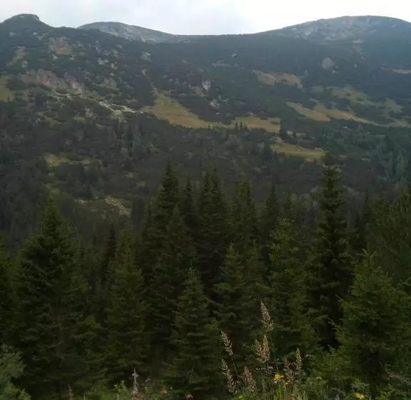 Majatalo Guest House Ahp