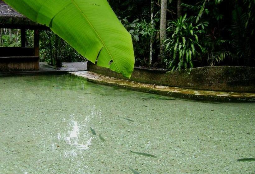 Pensione Jardim Da Amazônia Lodge