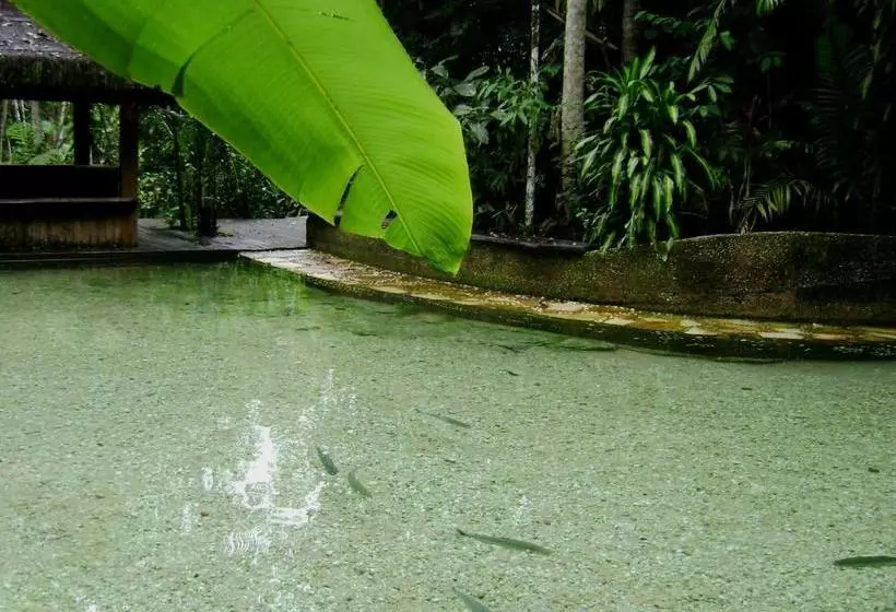 Majatalo Jardim Da Amazônia Lodge