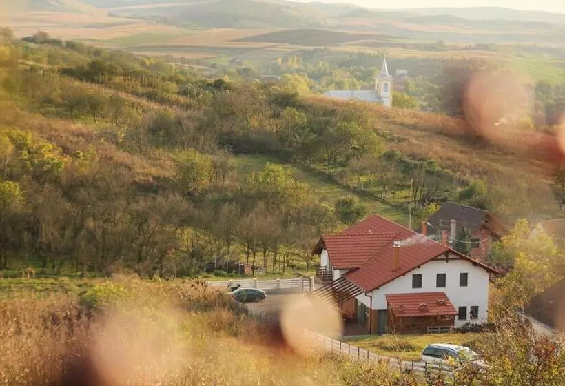 Pensiunea Casa Din Vii