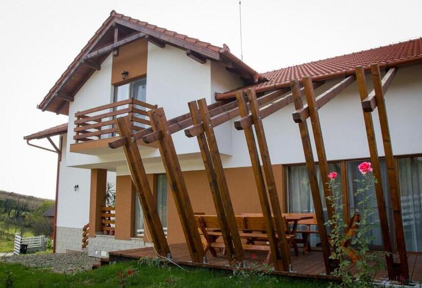 Pensiunea Casa Din Vii