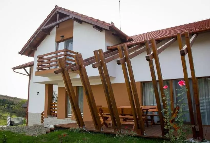 Pensiunea Casa Din Vii